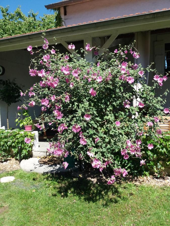 Bed and Breakfast Les Eygletieres Bourriot-Bergonce Exterior foto
