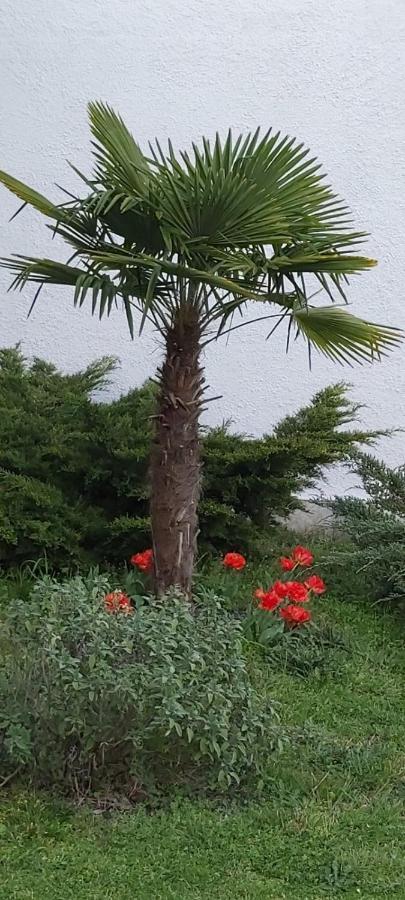 Bed and Breakfast Les Eygletieres Bourriot-Bergonce Exterior foto