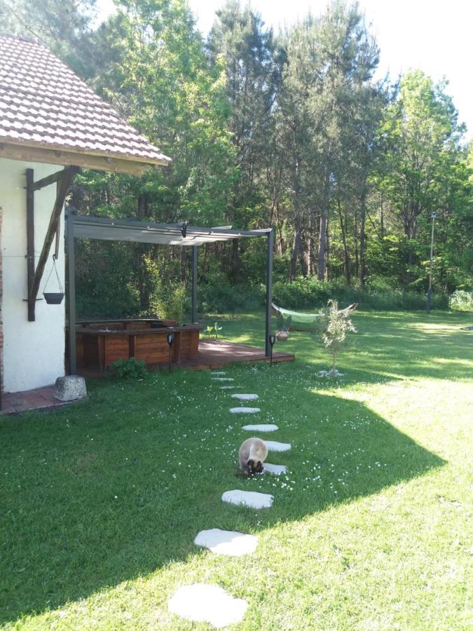 Bed and Breakfast Les Eygletieres Bourriot-Bergonce Exterior foto