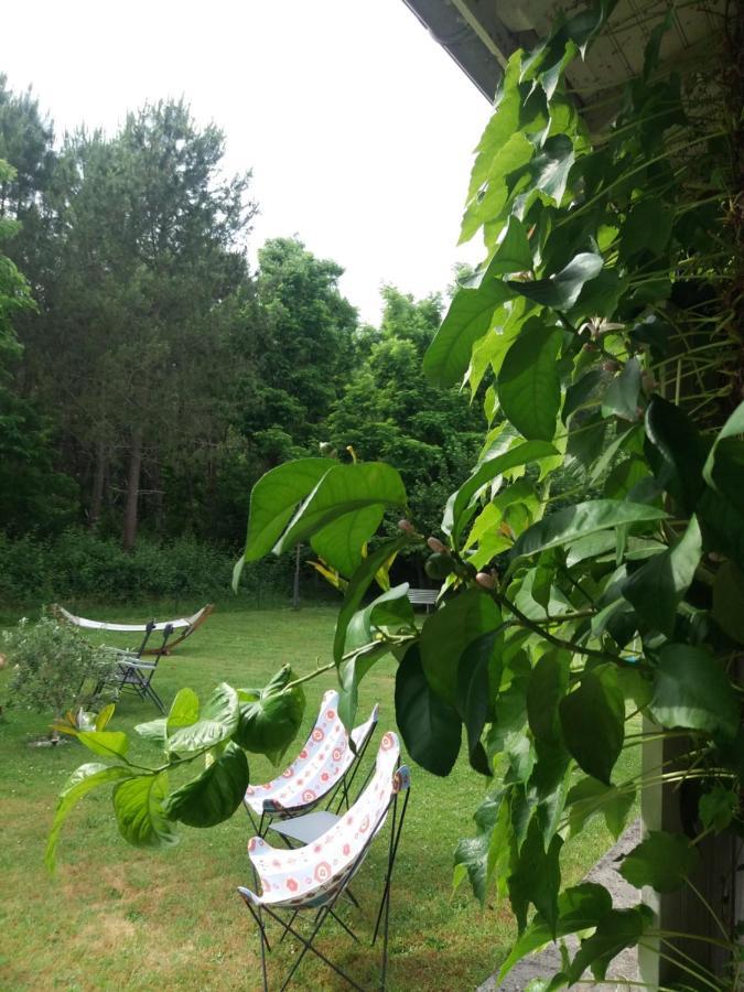 Bed and Breakfast Les Eygletieres Bourriot-Bergonce Exterior foto